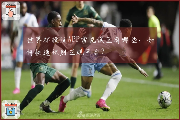 世界杯投注APP常见误区有哪些，如何快速识别正规平台？