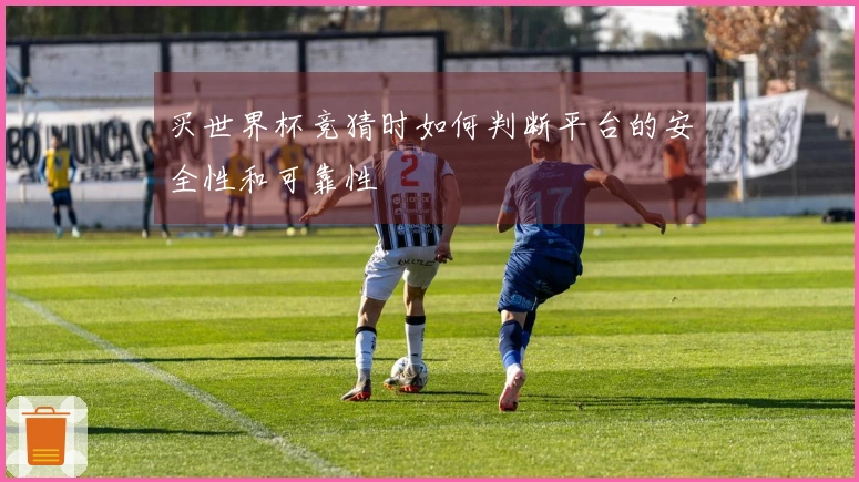 买世界杯竞猜时如何判断平台的安全性和可靠性