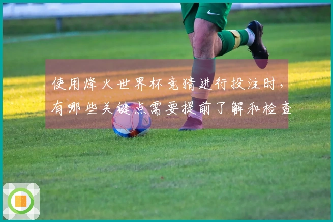 使用烽火世界杯竞猜进行投注时，有哪些关键点需要提前了解和检查？