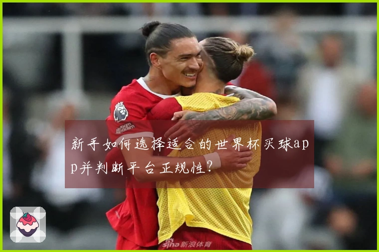 新手如何选择适合的世界杯买球app并判断平台正规性？
