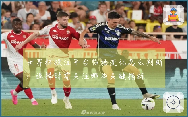 世界杯投注平台临场变化怎么判断，选择时需关注哪些关键指标