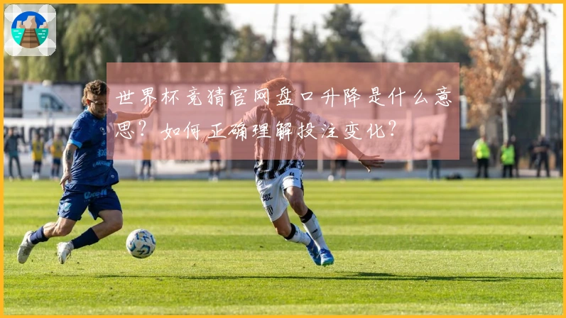 世界杯竞猜官网盘口升降是什么意思？如何正确理解投注变化？