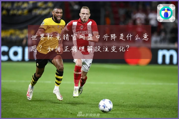 世界杯竞猜官网盘口升降是什么意思？如何正确理解投注变化？