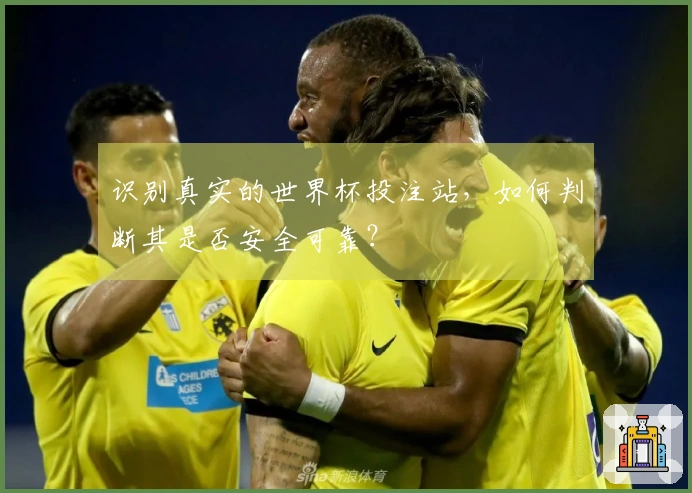 识别真实的世界杯投注站，如何判断其是否安全可靠？