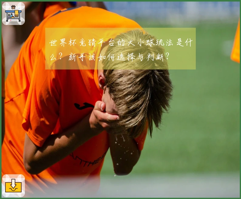 世界杯竞猜平台的大小球玩法是什么？新手该如何选择与判断？