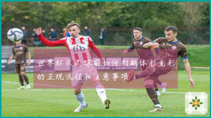 世界杯买足球前如何判断体彩竞彩的正规流程和注意事项