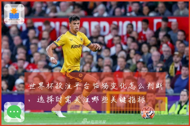 世界杯投注平台临场变化怎么判断，选择时需关注哪些关键指标