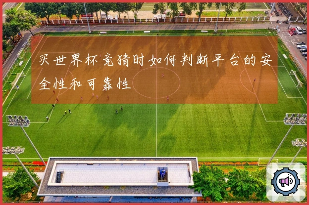 买世界杯竞猜时如何判断平台的安全性和可靠性