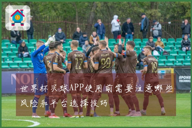 世界杯买球APP使用前需要注意哪些风险和平台选择技巧