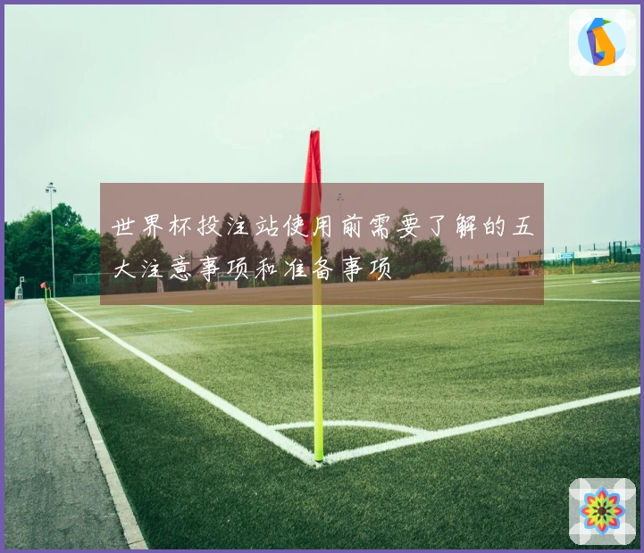 世界杯投注站使用前需要了解的五大注意事项和准备事项