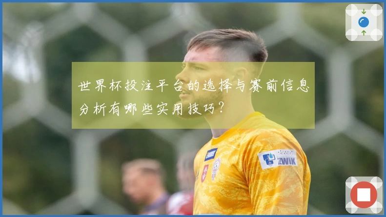 世界杯投注平台的选择与赛前信息分析有哪些实用技巧？