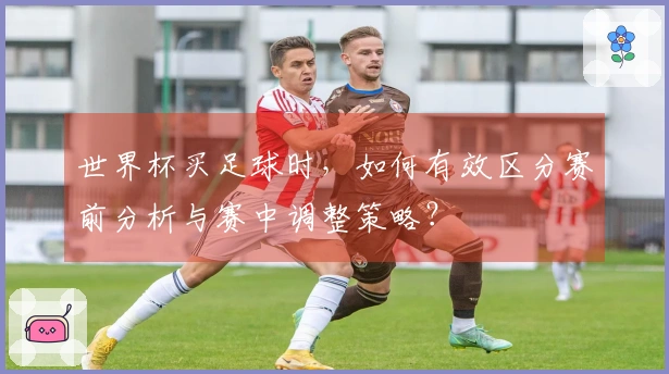 世界杯买足球时，如何有效区分赛前分析与赛中调整策略？