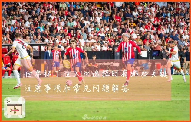 世界杯下注入口选择时有哪些关键注意事项和常见问题解答