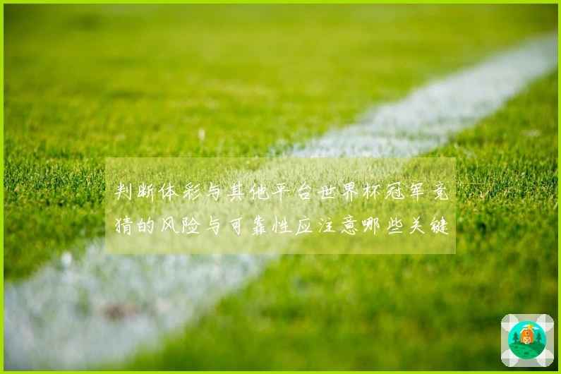 判断体彩与其他平台世界杯冠军竞猜的风险与可靠性应注意哪些关键要素
