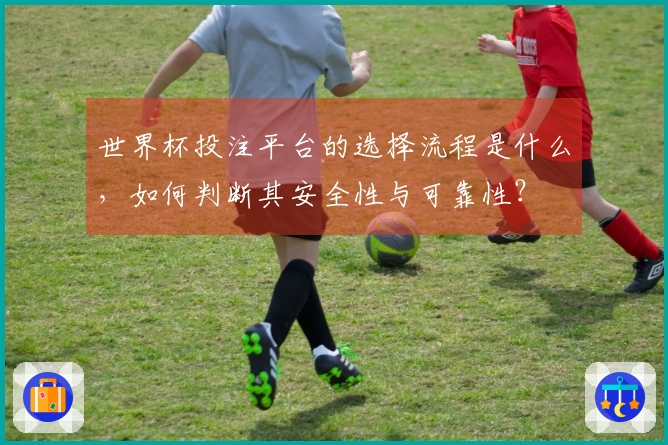 世界杯投注平台的选择流程是什么，如何判断其安全性与可靠性？