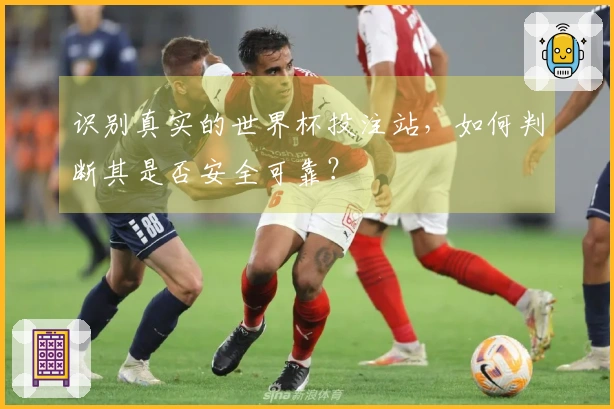 识别真实的世界杯投注站，如何判断其是否安全可靠？