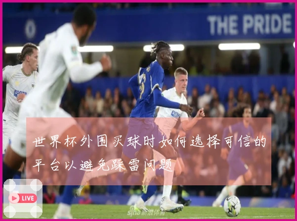 世界杯外围买球时如何选择可信的平台以避免踩雷问题