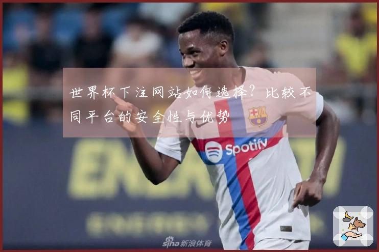 世界杯下注网站如何选择？比较不同平台的安全性与优势
