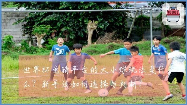 世界杯竞猜平台的大小球玩法是什么？新手该如何选择与判断？