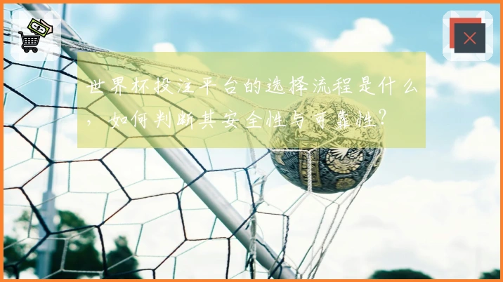 世界杯投注平台的选择流程是什么，如何判断其安全性与可靠性？