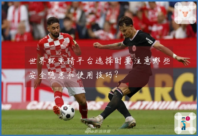 世界杯竞猜平台选择时要注意哪些安全隐患和使用技巧？
