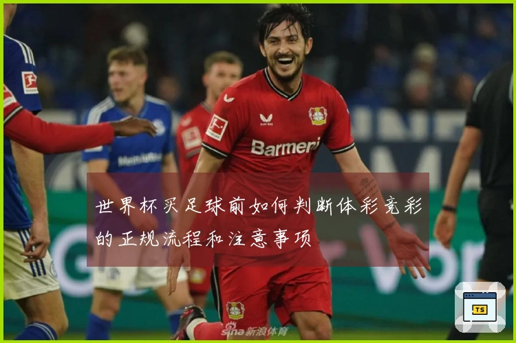 世界杯买足球前如何判断体彩竞彩的正规流程和注意事项